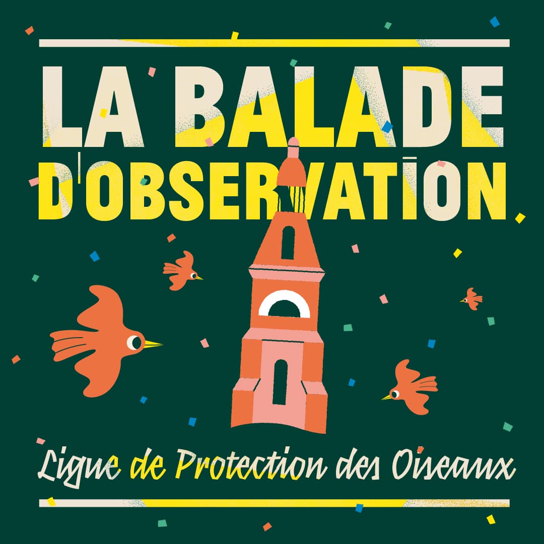 EF-2023-balade-min