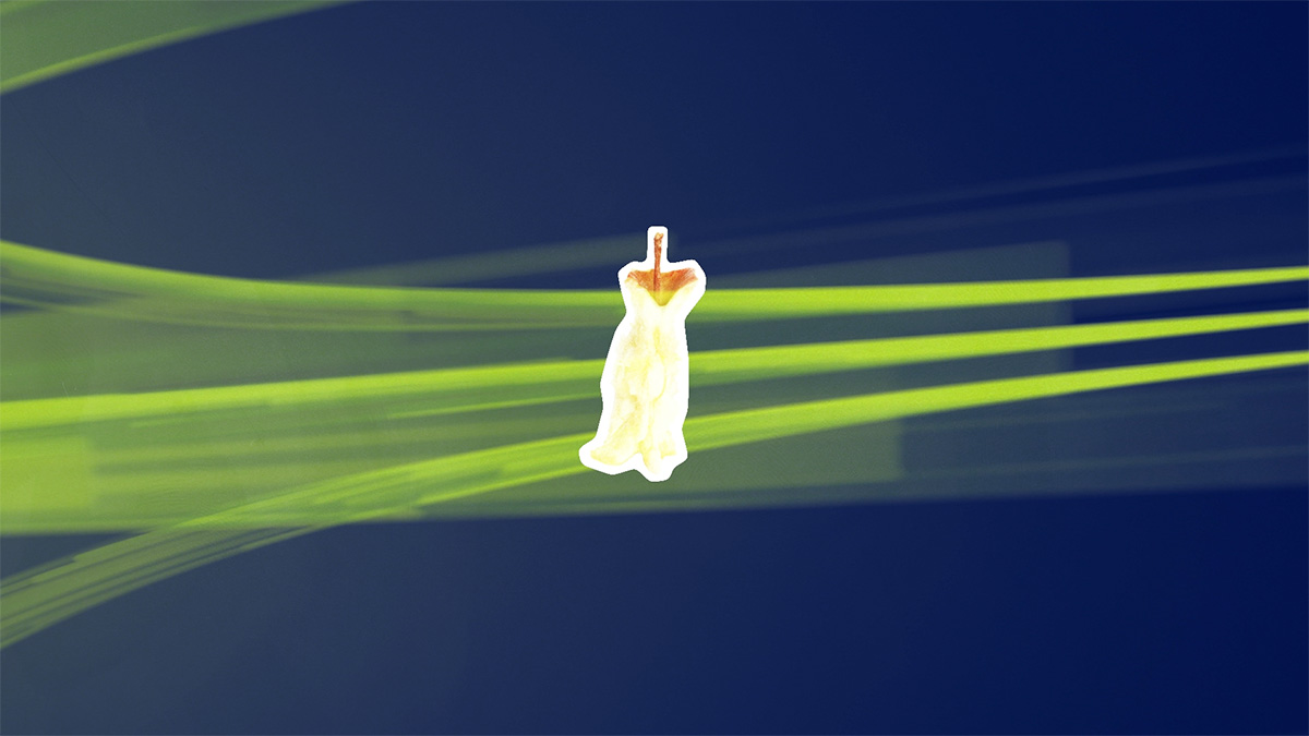 Suez-3-energy