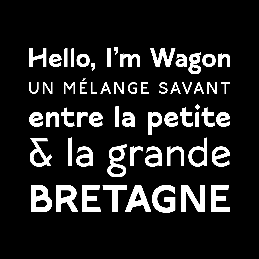 wl-font1